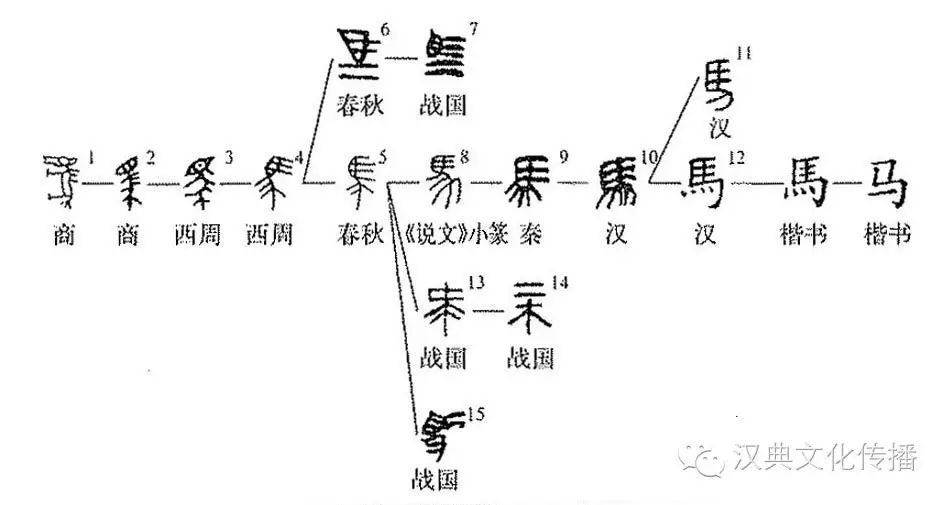 细说汉字 马 漢文化 通識