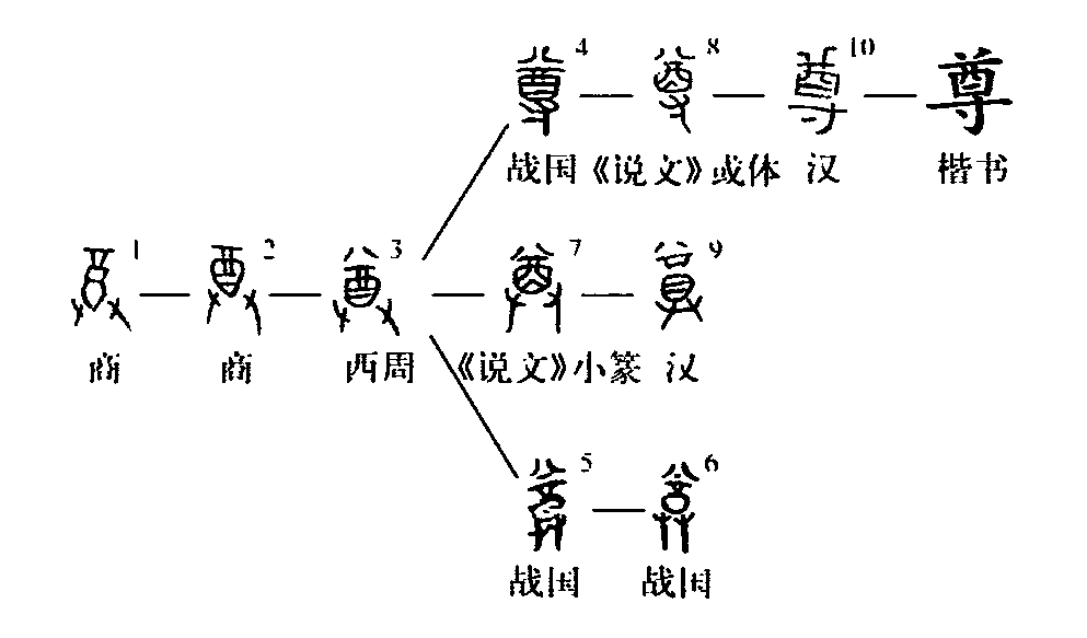 细说汉字 尊 漢文化 通識