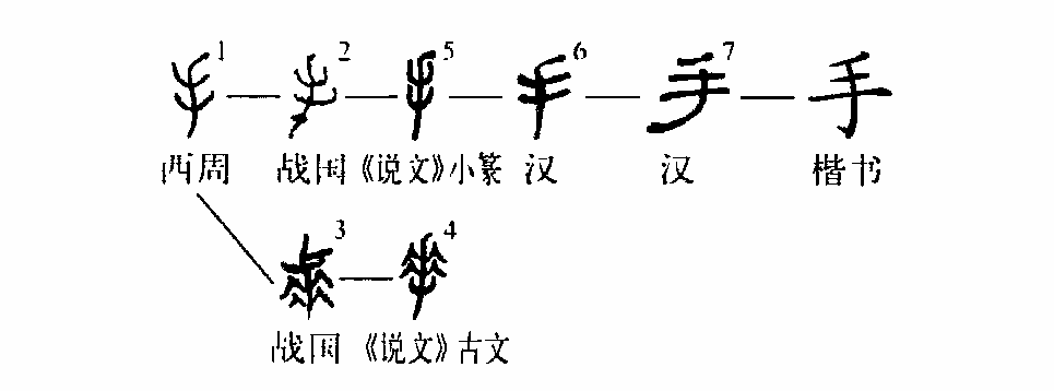 手字甲骨文的写法图片图片