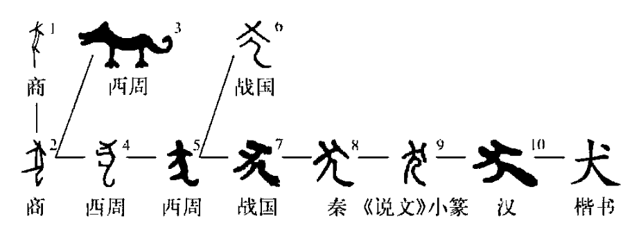 狗字的演变过程图片