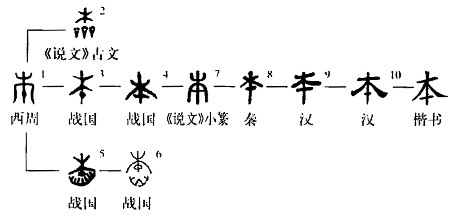 细说汉字 本 漢文化 通識