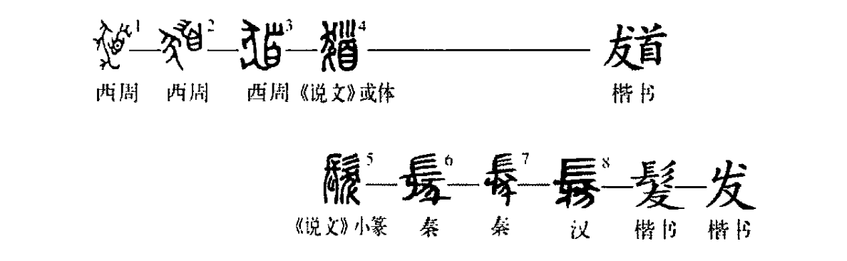 细说汉字 发 漢文化 通識